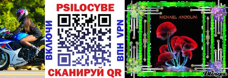 купить   Гатчина  Галлюциногенные грибы Psilocybine cubensis 