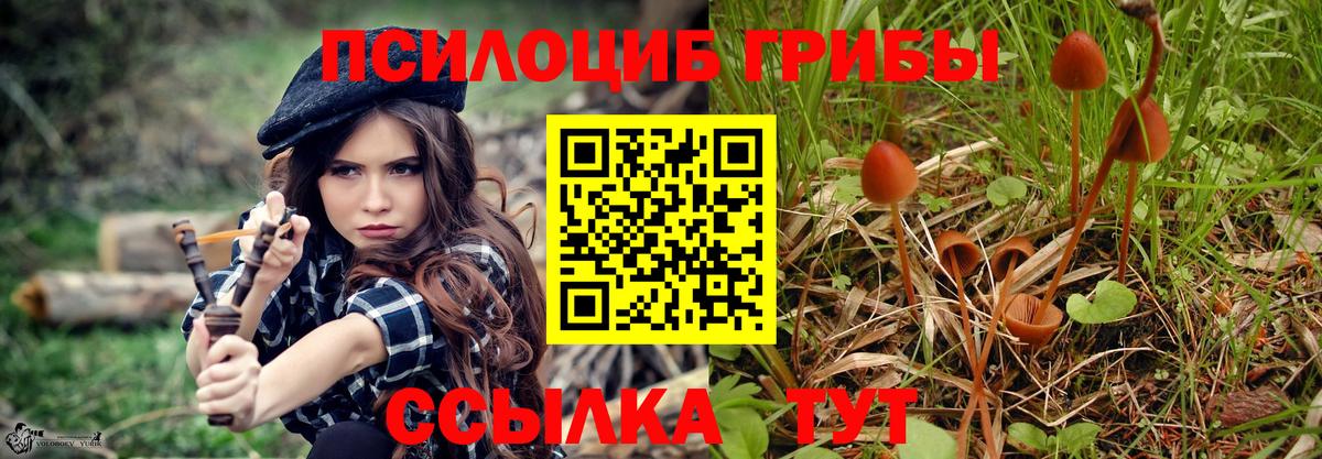 Псилоцибиновые грибы Cubensis  Псилоцибиновые грибы Magic Shrooms  Гатчина  Вход с VPN 