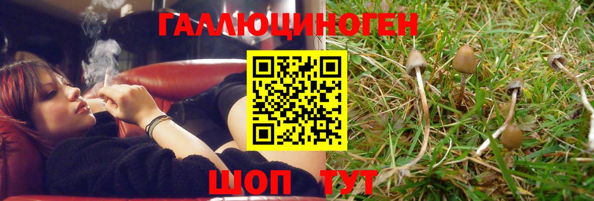 Гашиш  Гатчина  Cocaine  Вход с VPN  Мефедрон кристаллы  Марихуана 